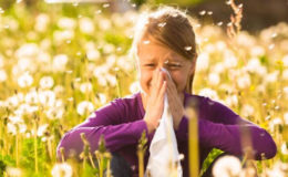 Pollen lösen Heuschnupfen aus